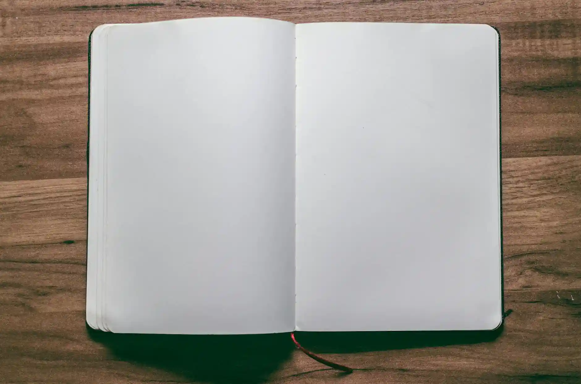 <a href="https://www.pexels.com/photo/notebook-with-blank-pages-942872/">Photo by MESSALA CIULLA on Pexels</a>