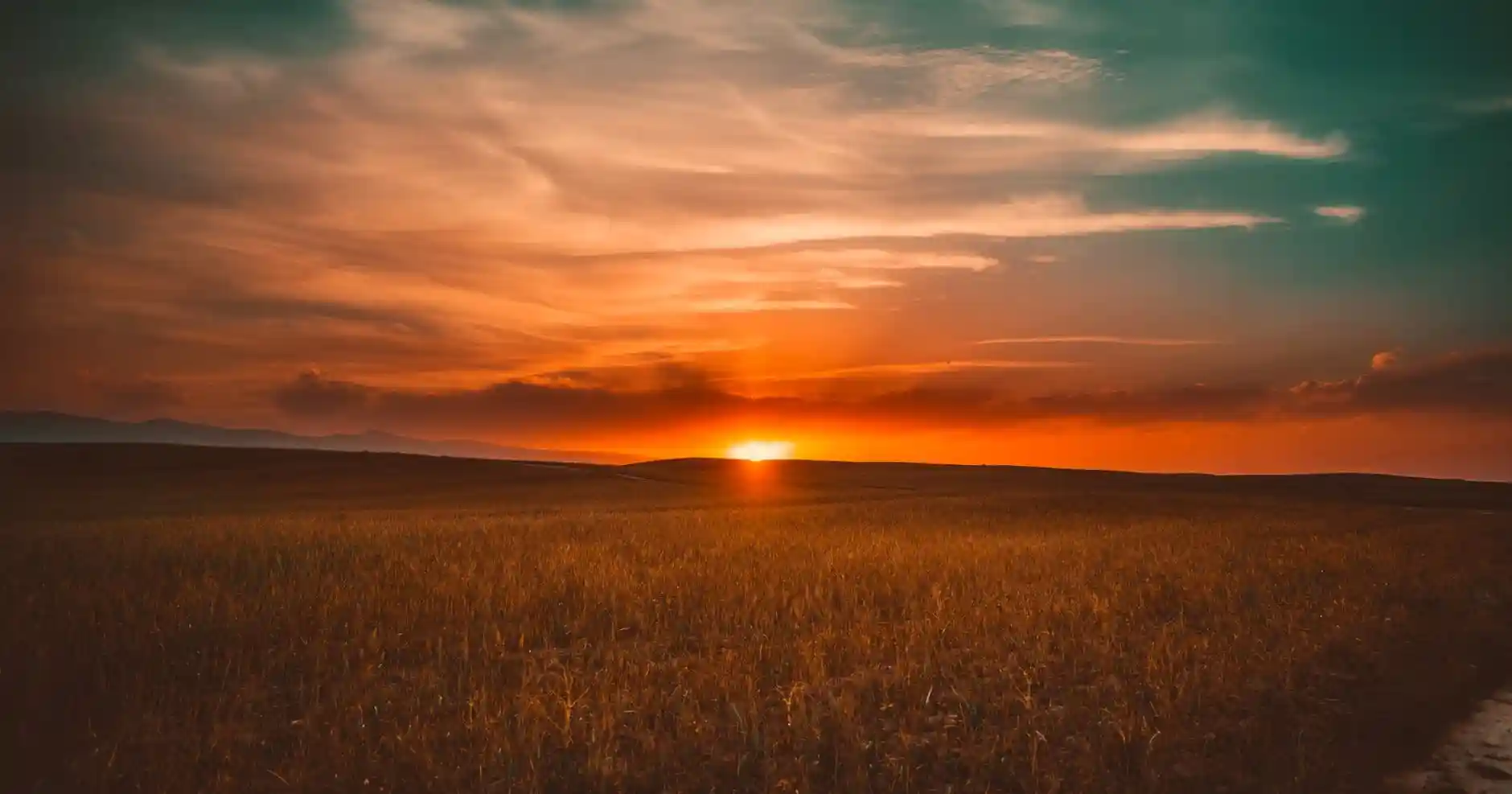 <a href="https://www.pexels.com/photo/grass-during-sunset-462023/">Photo by Pixabay on Pexels</a>